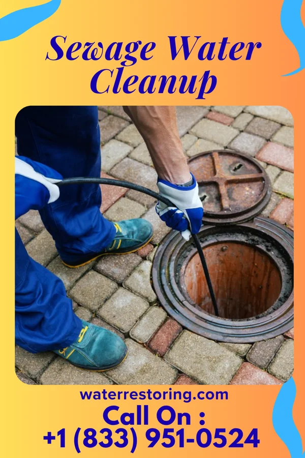 Sewage Water Cleanup in Brooklyn Heights, MO
